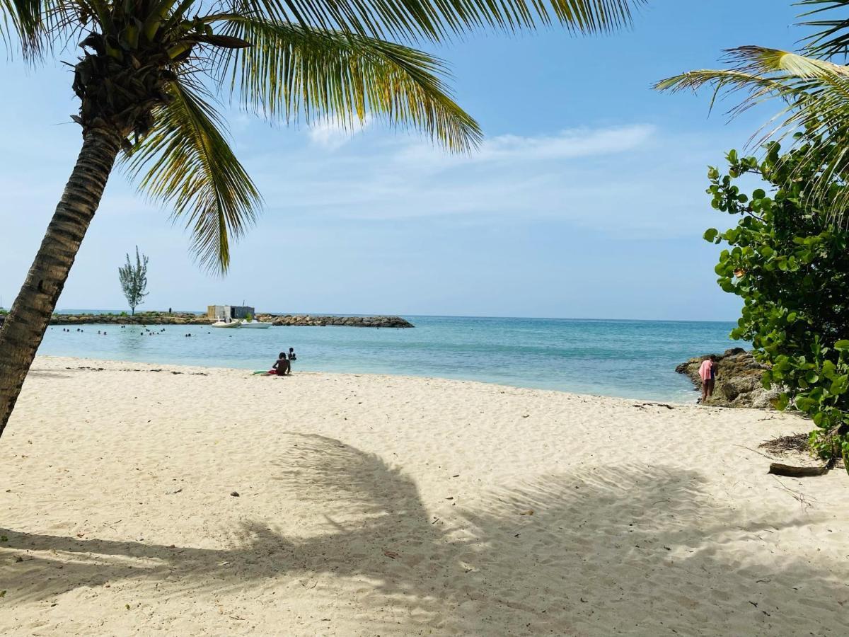 Vanille, A Proximite Des Plages, Idealement Situe Pour Visiter La Guadeloupe Le Gosier  Εξωτερικό φωτογραφία